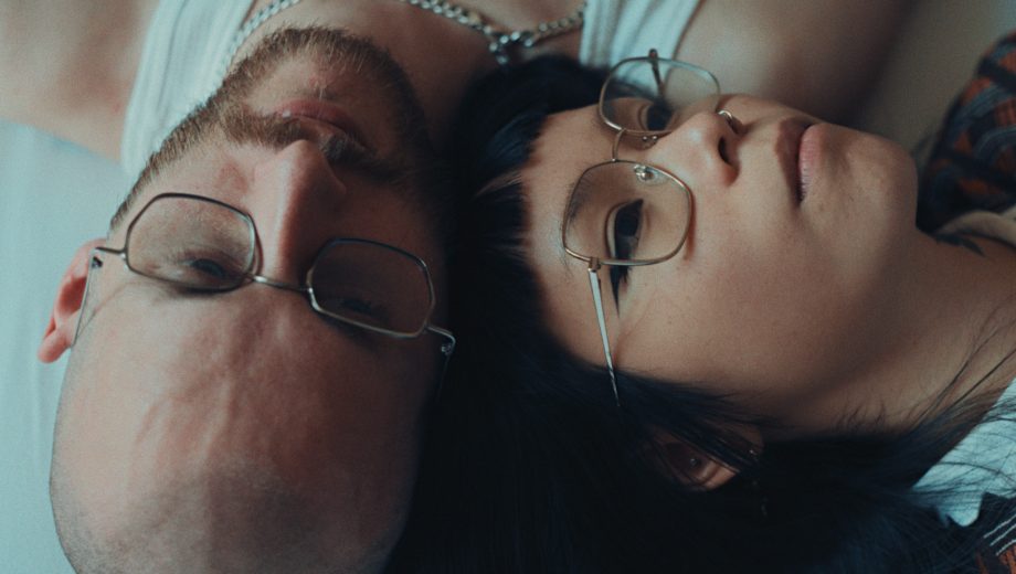 chien bleu - saisons